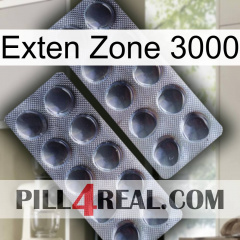 Exten Zone 3000 31